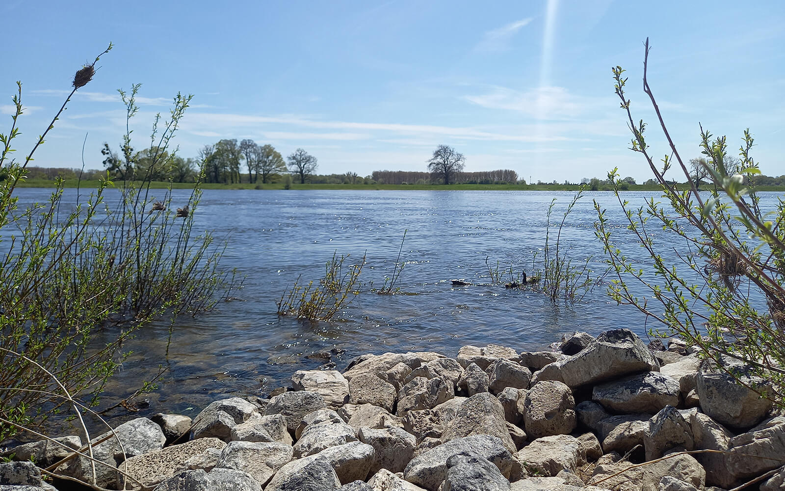 ruehstaedter_elbdeichrundgang_prignitz_tourismusverband