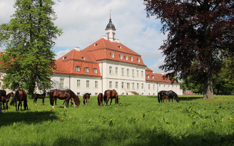 neustaedter_gestuete_prignitz