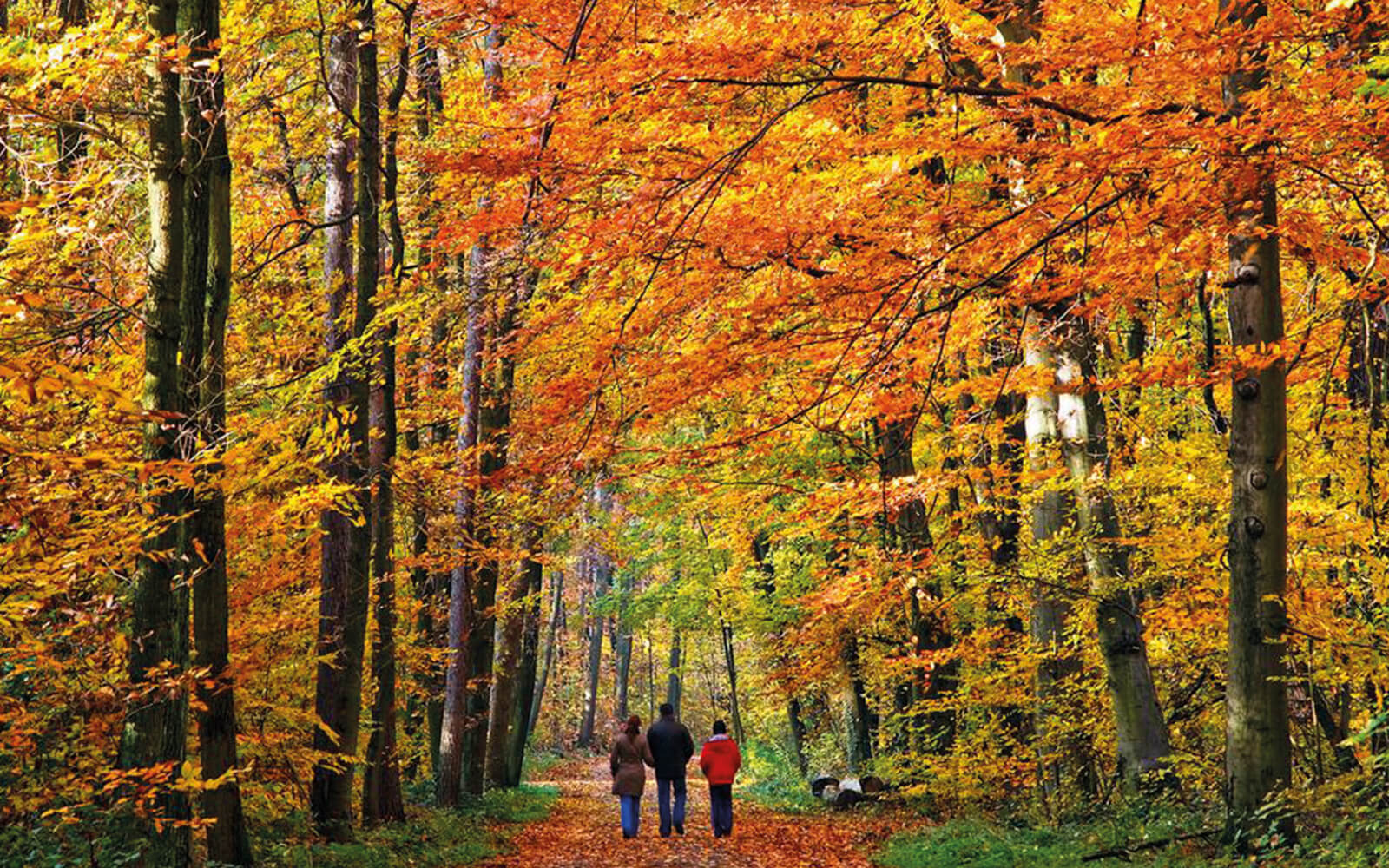 2022_meinplatz_rennsteigcoburg_route_wandern_reithebene_heldritter_schweiz_weg