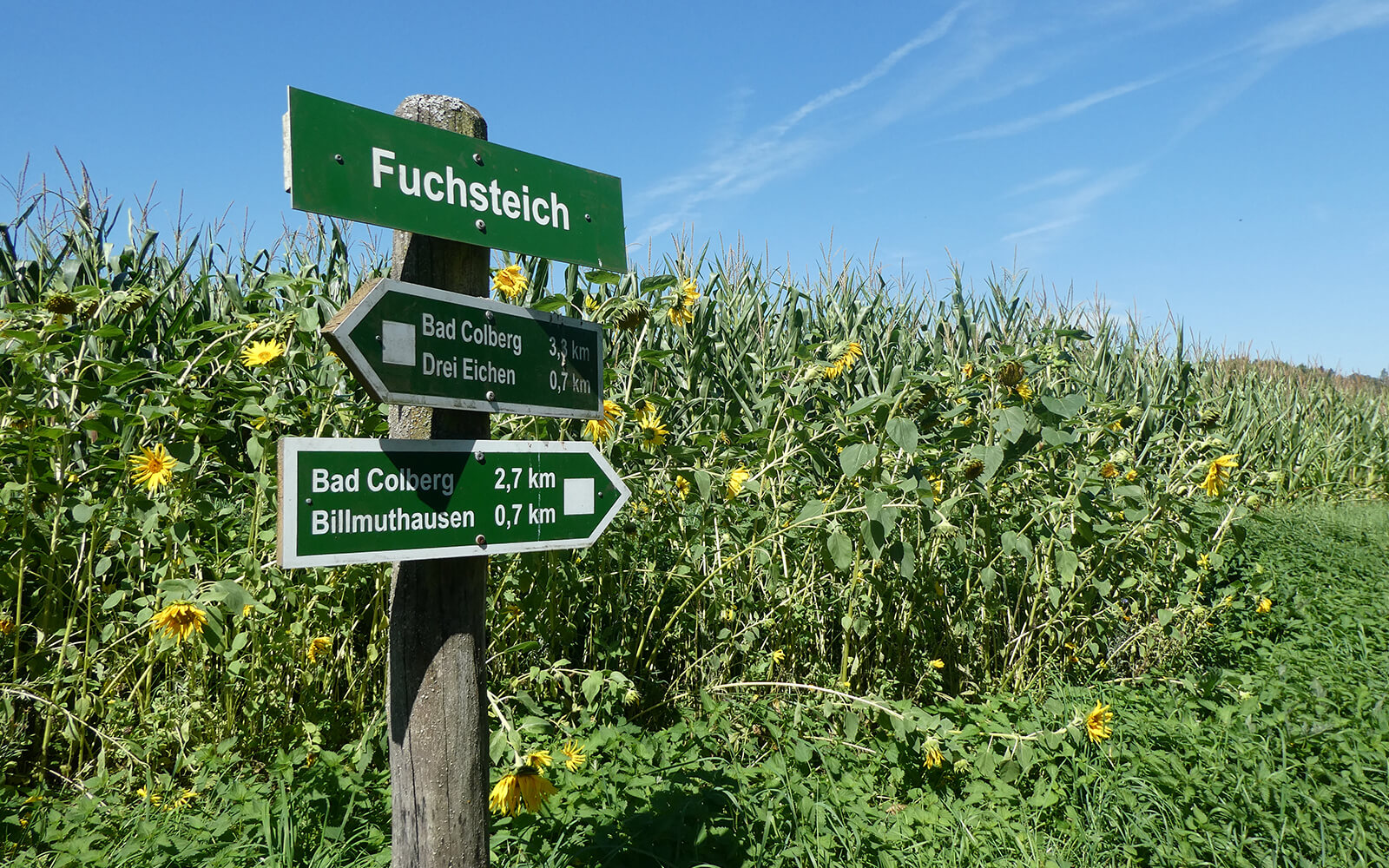 2022_meinplatz_rennsteigcoburg_route_wandern_veste_heldburg_weg