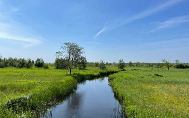 AdobeStock_440788136 - Weerribben-Wieden National Park