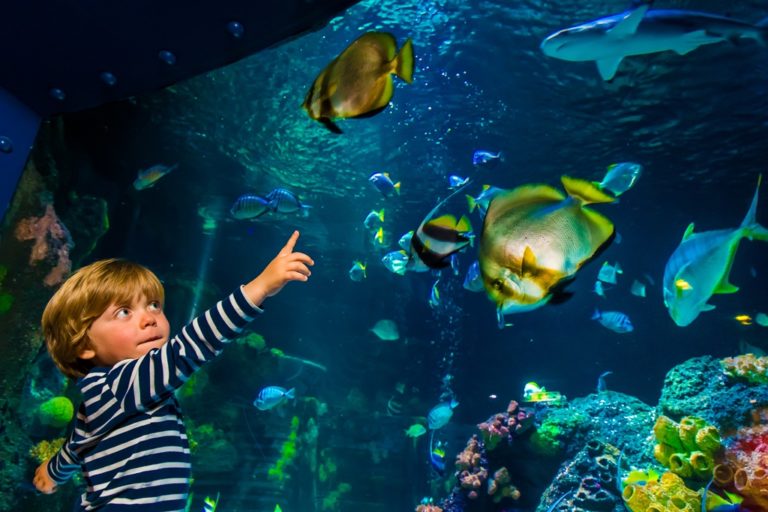 Fotoshooting SeaLife  am 25.05.2015 in Timmendorer Strand. Foto: Ulrich Perrey